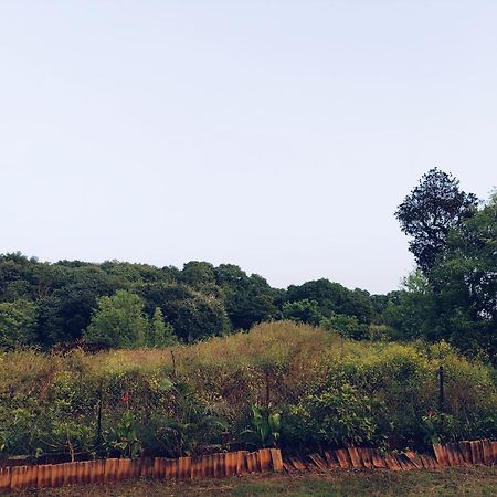 Laforesta By Mahabaleshwar Stay Exterior photo