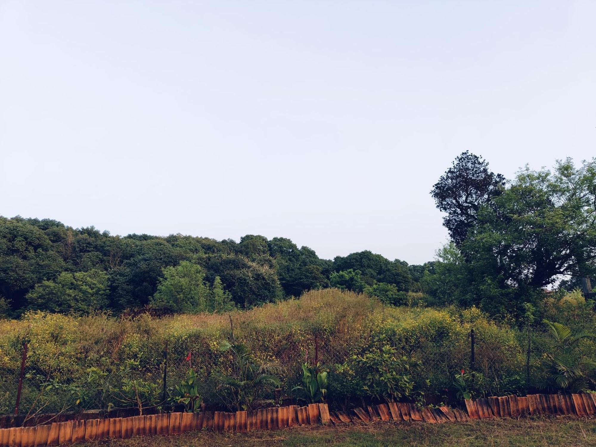 Laforesta By Mahabaleshwar Stay Exterior photo